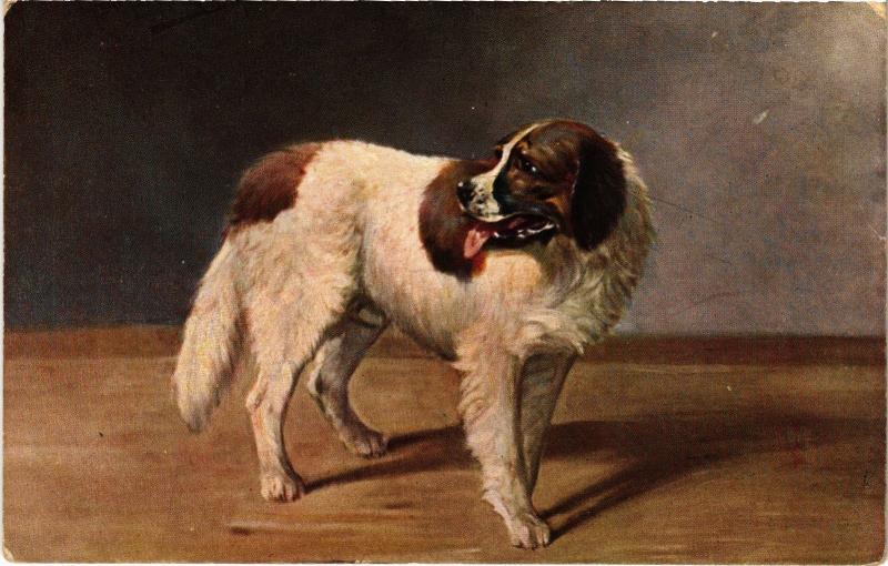 Carte postale ancienne Dogs
