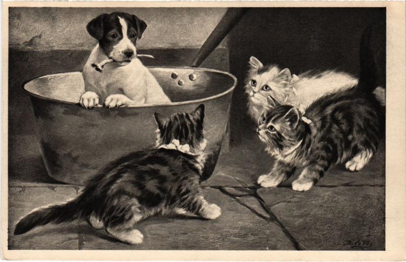 Carte postale ancienne Dogs
