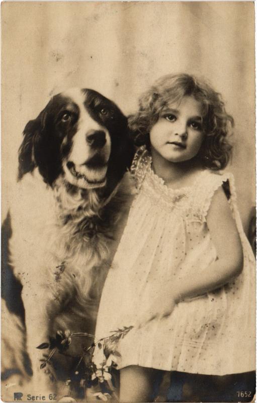 Carte postale ancienne Dogs