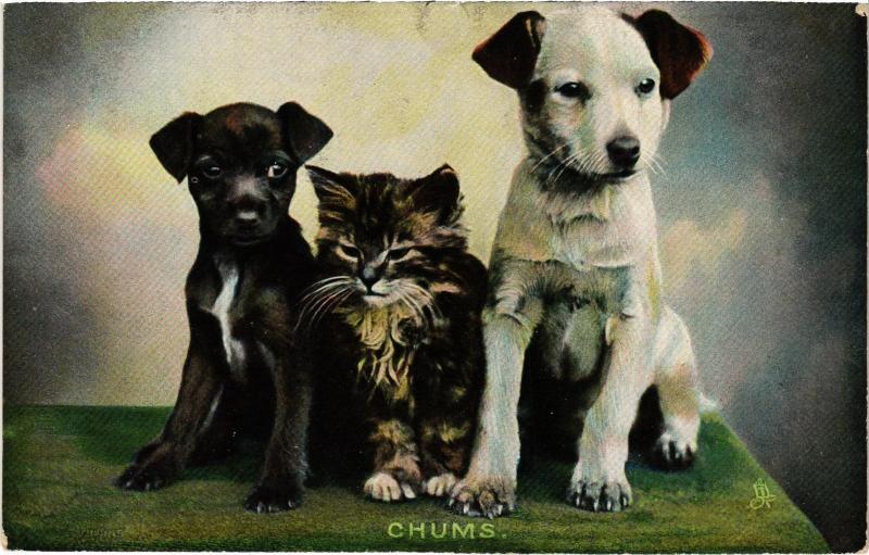 Carte postale ancienne Chums Dogs