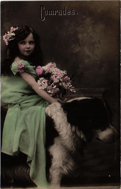 Carte postale ancienne Comrades Dogs