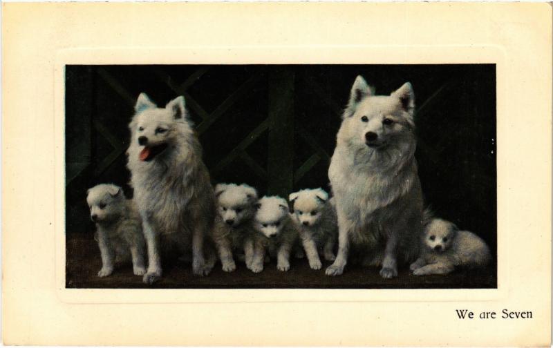 Carte postale ancienne We are Seven Dogs