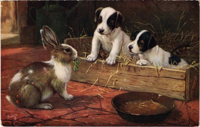 Carte postale ancienne Souvenir Dogs