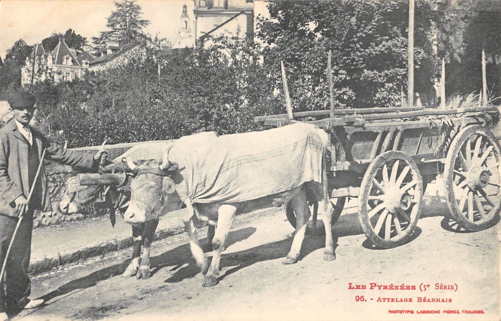 Carte Postale Ancienne Attelage du pays Pyrenees Boeufs: Manuskript